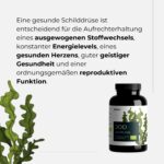 Bio Kelp 365 Kapseln - Bild 4