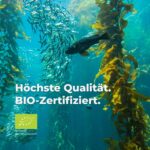 Bio Kelp 365 Kapseln - Bild 2