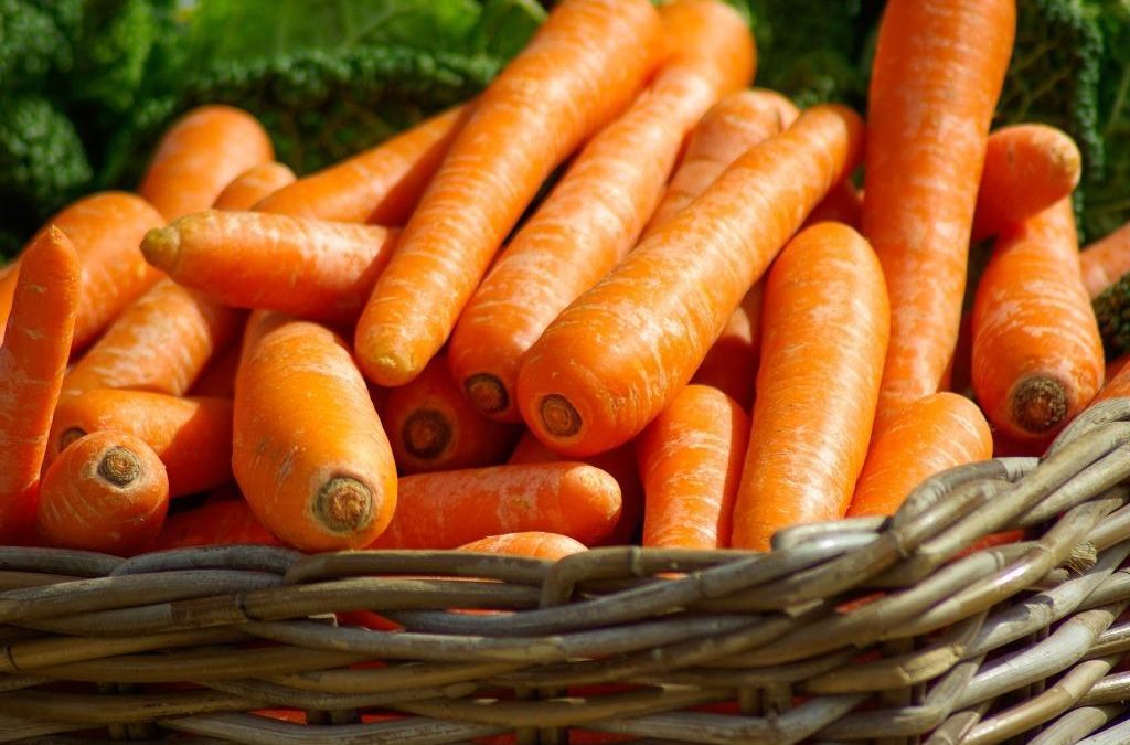 Karottenöl fürs Gesicht – 5 Gründe, warum es mich begeistert